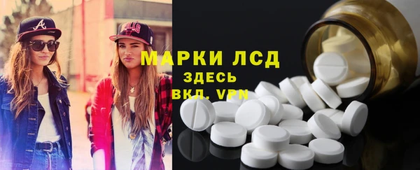 сатива Иннополис