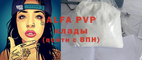 хмурый Инсар