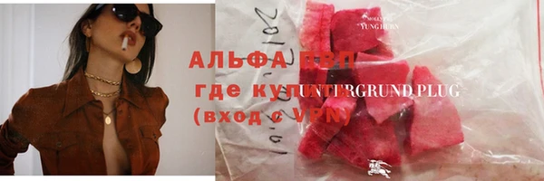 твердый Инта