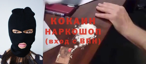 хмурый Инсар
