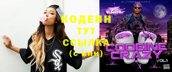 сатива Иннополис