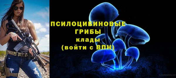 хмурый Инсар