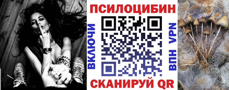Галлюциногенные грибы Cubensis  Нижний Новгород 